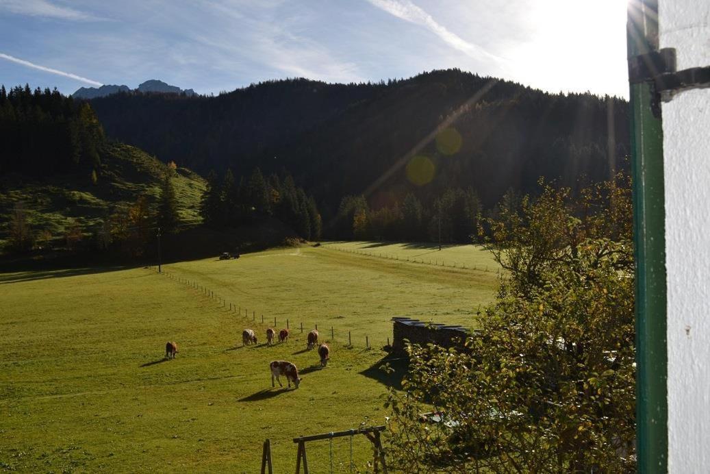 Ferienwohnungen Foidlhof Hochfilzen Eksteriør billede