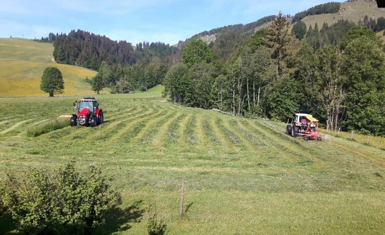 Ferienwohnungen Foidlhof Hochfilzen Eksteriør billede